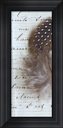 Framed Plume Feathers V Crop II Print
