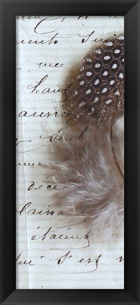 Framed Plume Feathers V Crop II Print