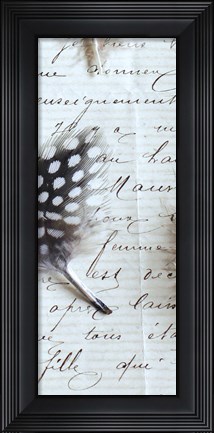 Framed Plume Feathers V Crop I Print