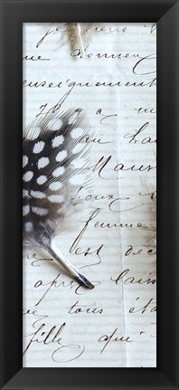 Framed Plume Feathers V Crop I Print