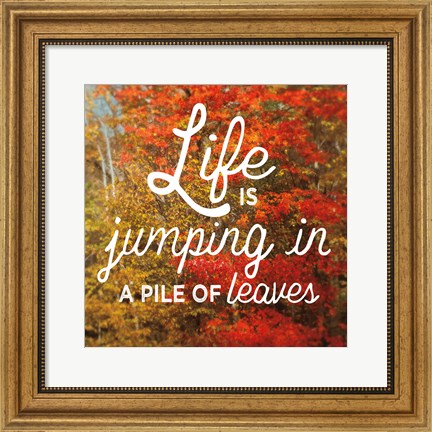 Framed Life is for Jumping Print