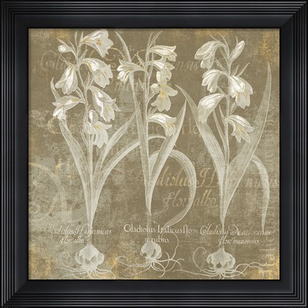 Framed Flower Lines I Print