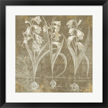 Framed Flower Lines I Print