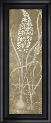 Framed Flower Lines III Print