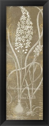 Framed Flower Lines III Print