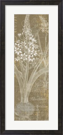 Framed Flower Lines II Print