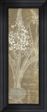 Framed Flower Lines II Print