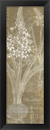 Framed Flower Lines II Print