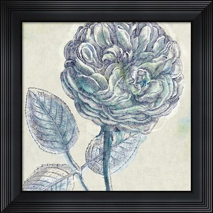 Framed Belle Fleur III Print
