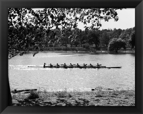 Framed 1930s Silhouette Sculling Boat Race Print