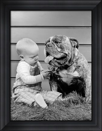 Framed 1950s 1960s Baby Sitting Playing With Bulldog Print