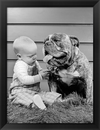 Framed 1950s 1960s Baby Sitting Playing With Bulldog Print