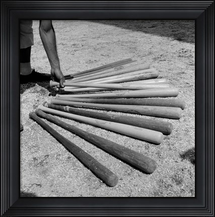 Framed 1950s Baseball Player Selecting A Variety Of Bats Print