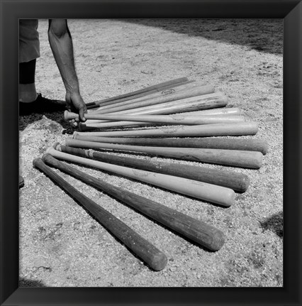 Framed 1950s Baseball Player Selecting A Variety Of Bats Print