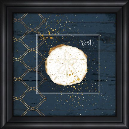Framed Rest Sanddollar Print