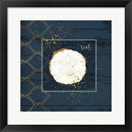 Framed Rest Sanddollar Print