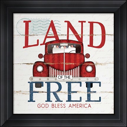Framed Land of the Free Print