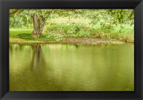 Framed Place of Peace I Print