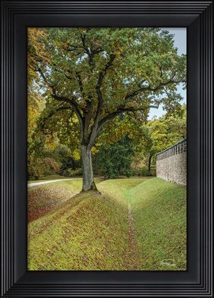 Framed Outside the Wall I Print
