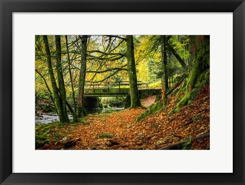 Framed Black Forest River Bridge Print