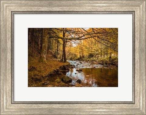 Framed Black Forest River Print