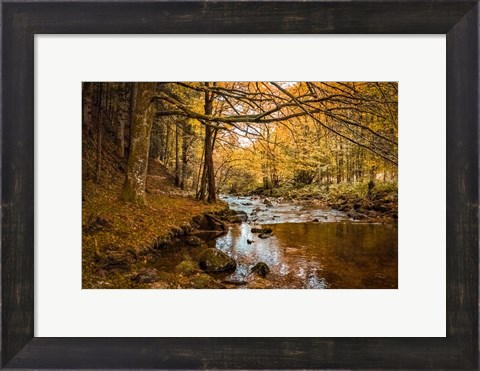 Framed Black Forest River Print