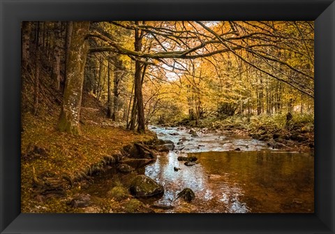 Framed Black Forest River Print