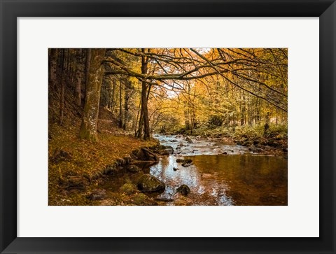 Framed Black Forest River Print