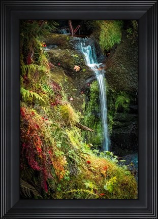 Framed Black Forest Lower Falls Print