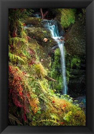 Framed Black Forest Lower Falls Print