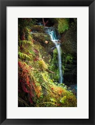 Framed Black Forest Lower Falls Print