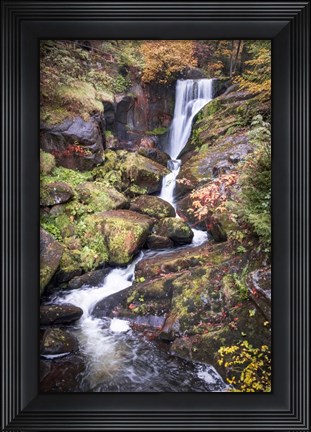 Framed Black Forest Upper Falls Print