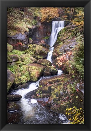 Framed Black Forest Upper Falls Print