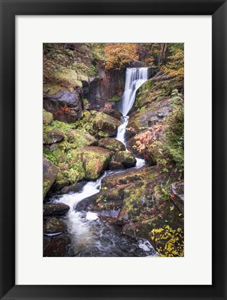 Framed Black Forest Upper Falls Print