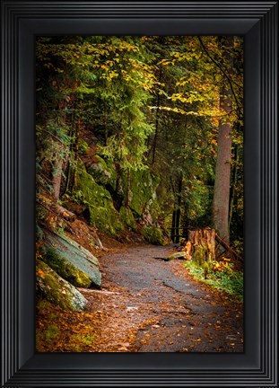 Framed Foret Path Print
