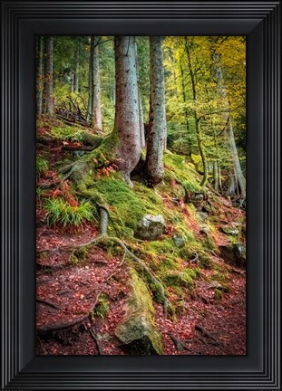Framed Overseers of the Path Print