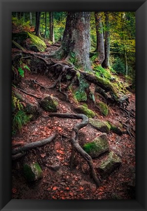 Framed Sentinels Along Our Path Print