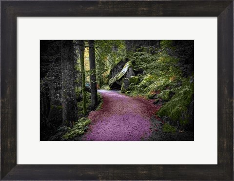 Framed Path to Serenity Print