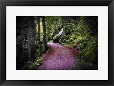 Framed Path to Serenity Print