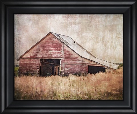 Framed Red Shed Print