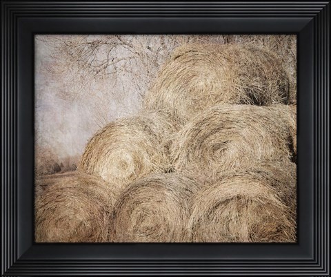 Framed Round Bales Print