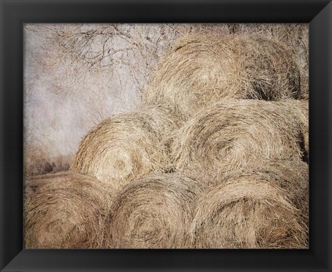 Framed Round Bales Print