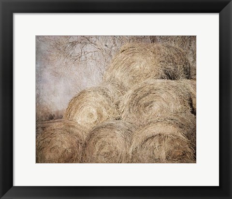 Framed Round Bales Print