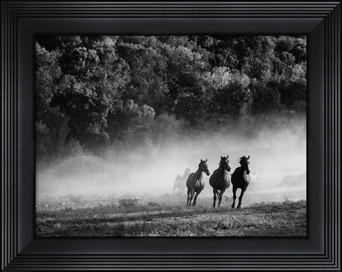 Framed Horse country Print
