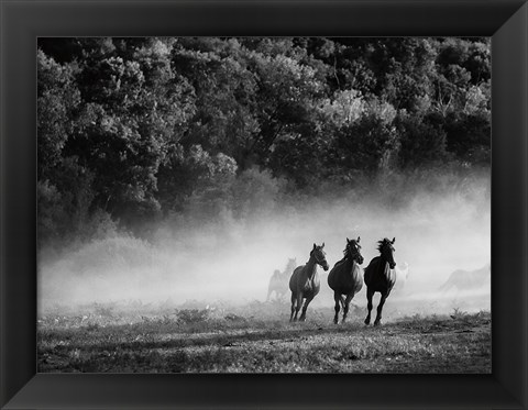 Framed Horse country Print