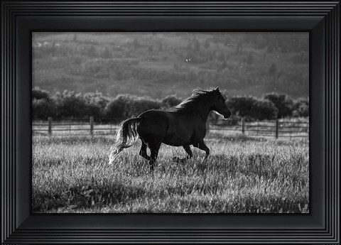 Framed Going Home Print