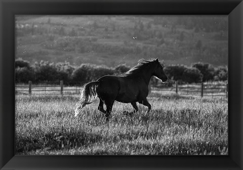 Framed Going Home Print