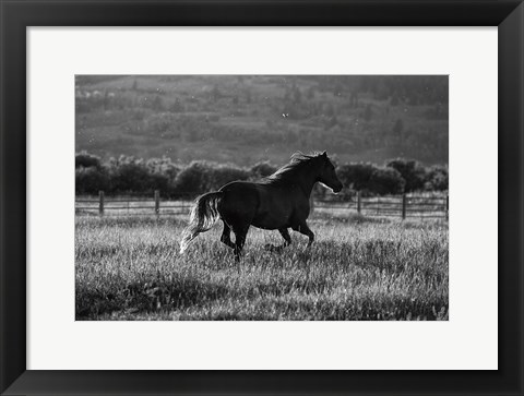 Framed Going Home Print