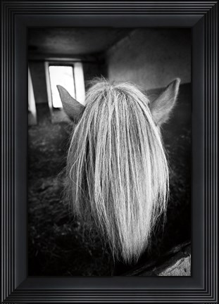Framed Beauty Print
