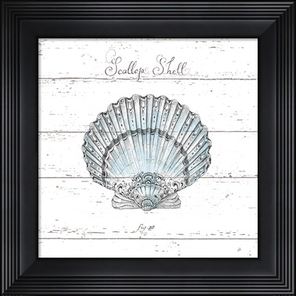 Framed Aqua Underwater Life VIII Shiplap Print